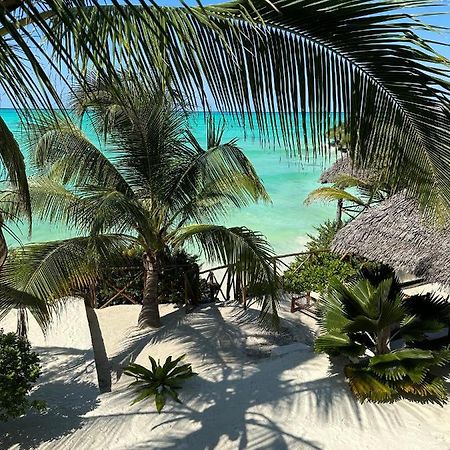 Natural Garden Boutique Hotel Jambiani (Zanzibar) Exterior foto