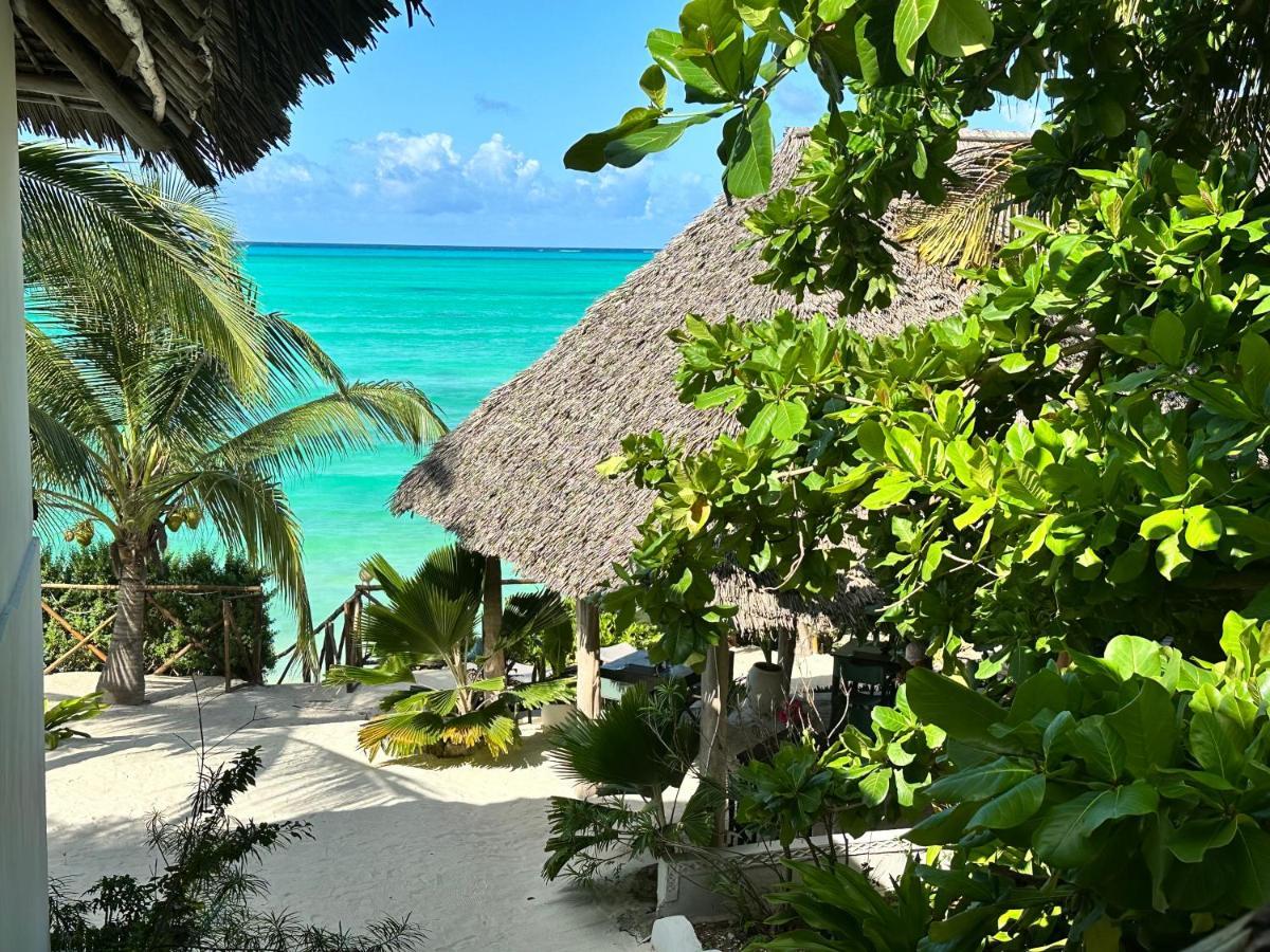 Natural Garden Boutique Hotel Jambiani (Zanzibar) Exterior foto