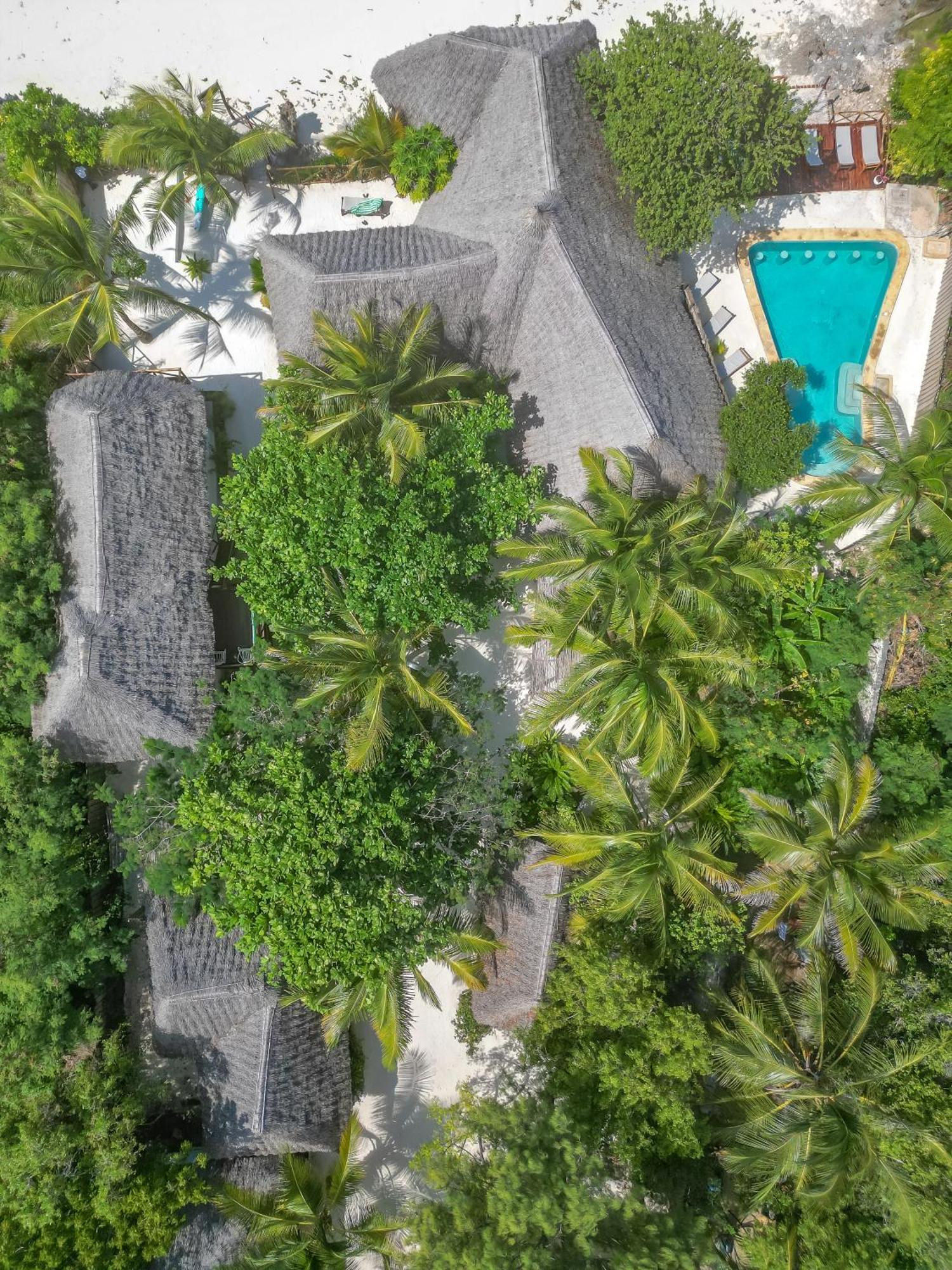 Natural Garden Boutique Hotel Jambiani (Zanzibar) Exterior foto