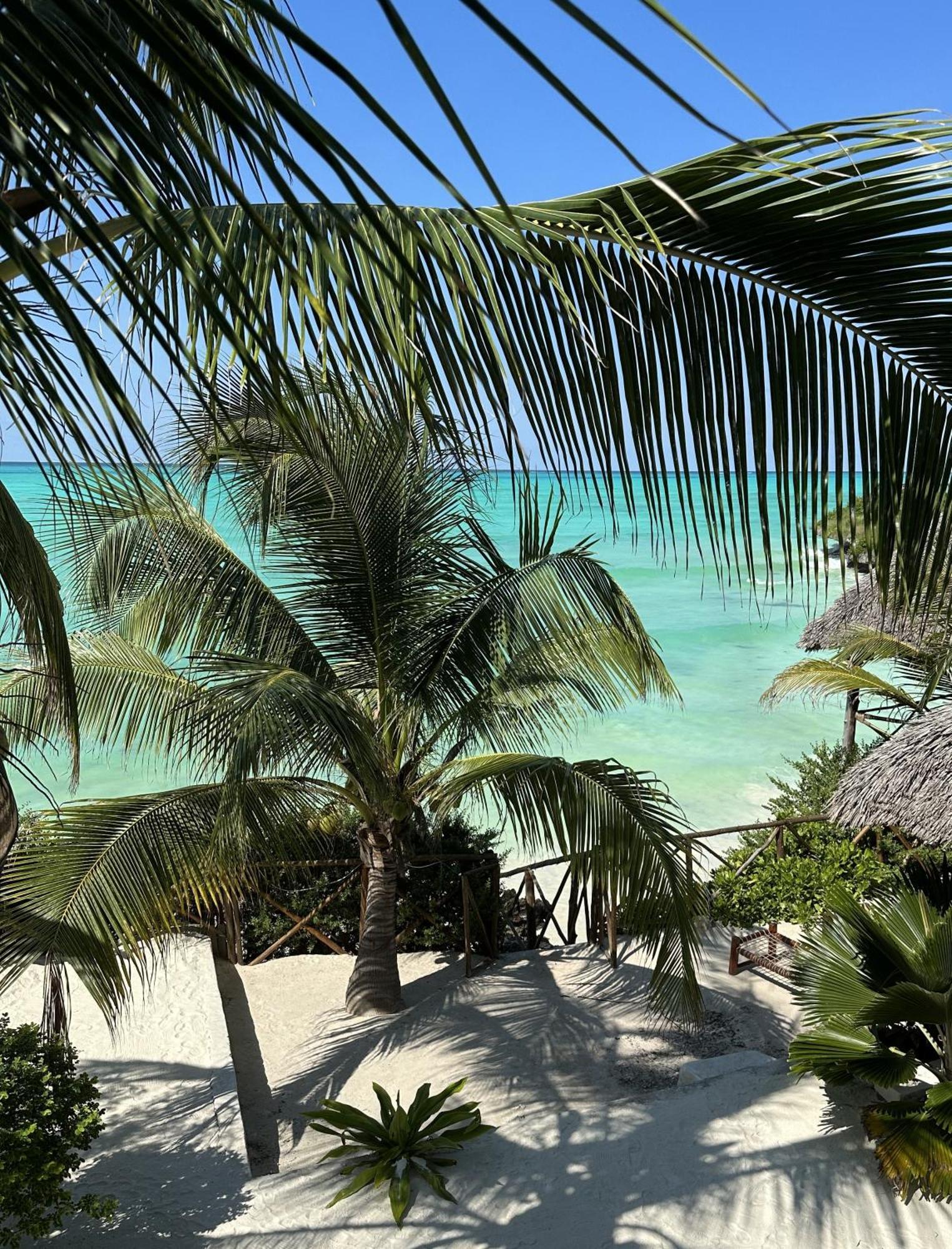 Natural Garden Boutique Hotel Jambiani (Zanzibar) Exterior foto