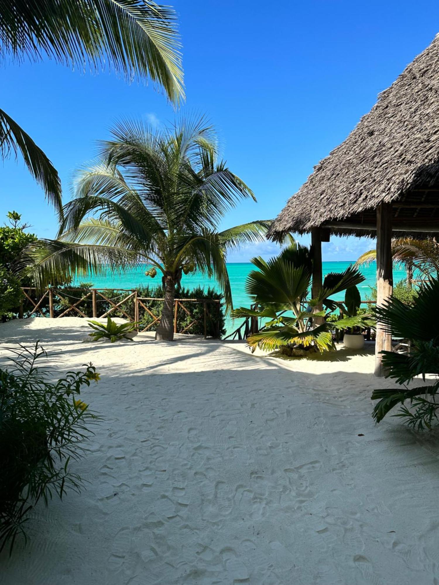 Natural Garden Boutique Hotel Jambiani (Zanzibar) Exterior foto
